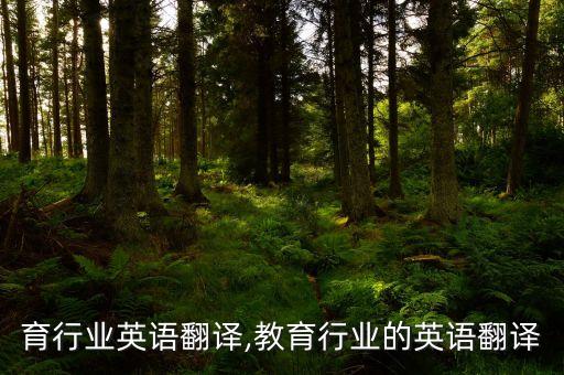 在教育行业英语翻译,教育行业的英语翻译