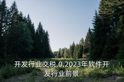 开发行业交税,0,2023年软件开发行业前景
