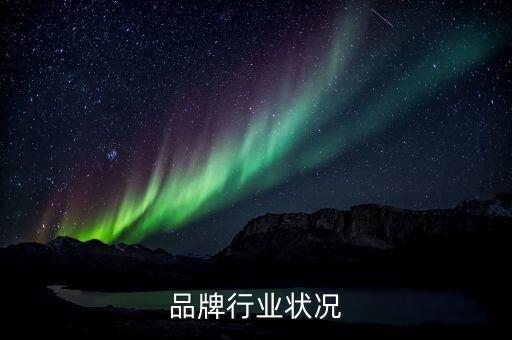 品牌行业状况