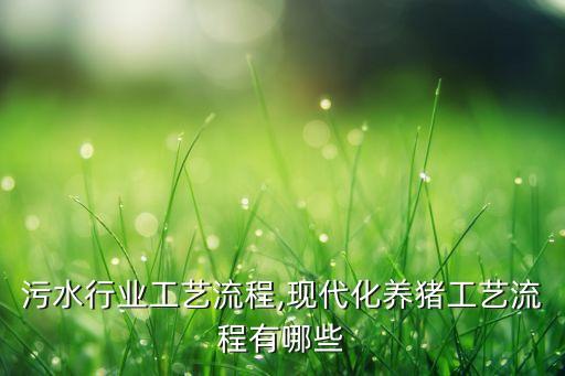 污水行业工艺流程,现代化养猪工艺流程有哪些