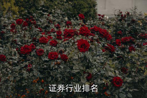 东兴证券行业排名
