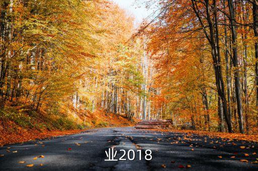 钨行业2018