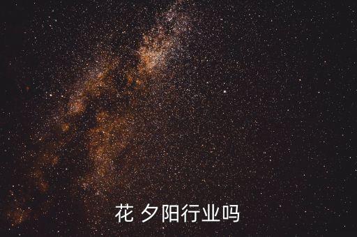 仿真花 夕阳行业吗