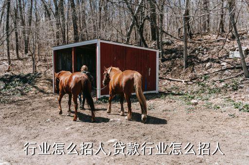 养殖行业怎么招人,贷款行业怎么招人