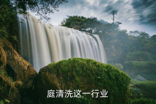 庭清洗这一行业