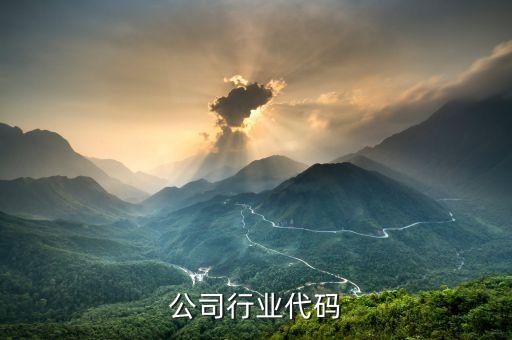 公司行业代码