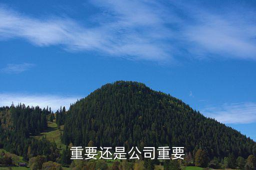 重要还是公司重要