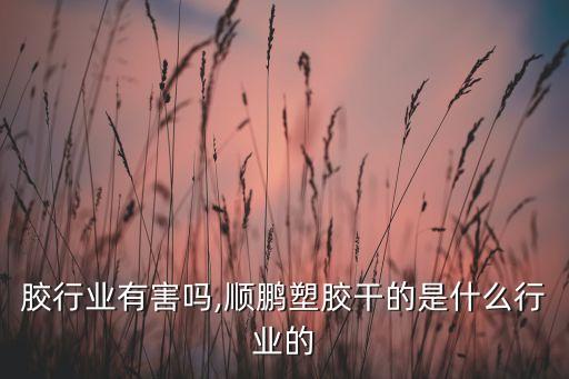 干塑胶行业有害吗,顺鹏塑胶干的是什么行业的