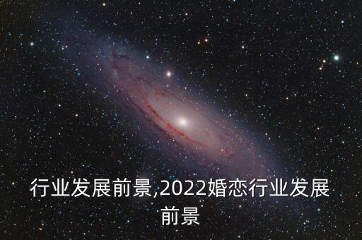 行业发展前景,2022婚恋行业发展前景