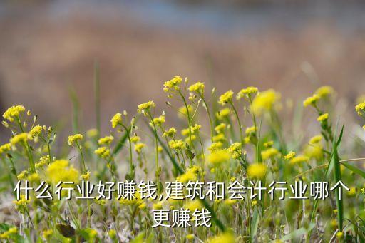什么行业好赚钱,建筑和会计行业哪个更赚钱