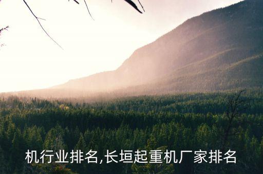 起重机行业排名,长垣起重机厂家排名