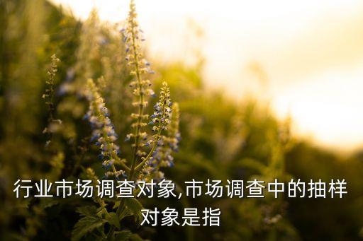 金融行业市场调查对象,市场调查中的抽样对象是指