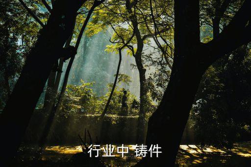行业中 铸件