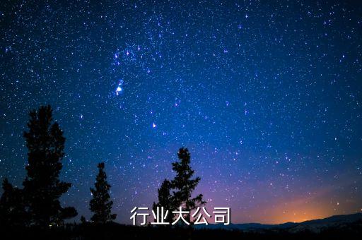 玻璃行业大公司