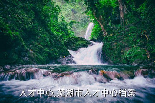 人才中心,芜湖市人才中心档案