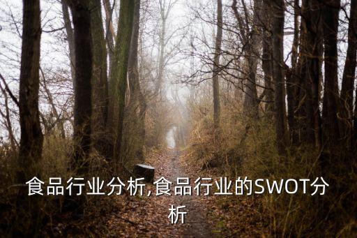 武汉食品行业分析,食品行业的SWOT分析