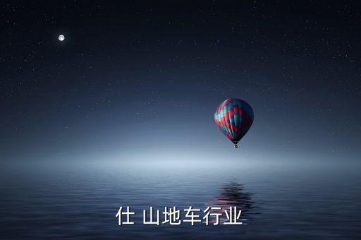 仕 山地车行业