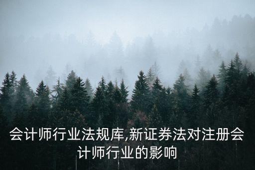 会计师行业法规库,新证券法对注册会计师行业的影响
