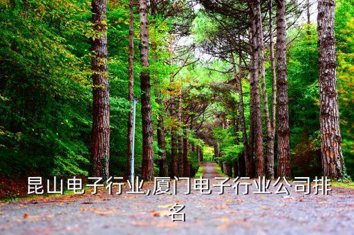  昆山电子行业,厦门电子行业公司排名