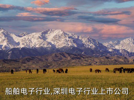 深圳船舶电子行业,深圳电子行业上市公司