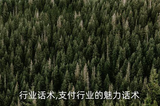 行业话术,支付行业的魅力话术
