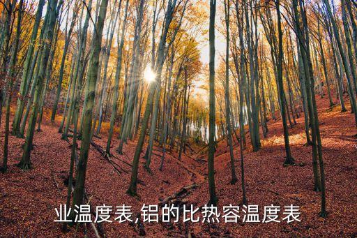 业温度表,铝的比热容温度表
