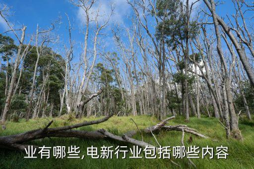 电行业有哪些,电新行业包括哪些内容