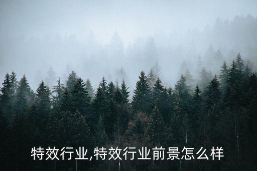 美国特效行业,特效行业前景怎么样