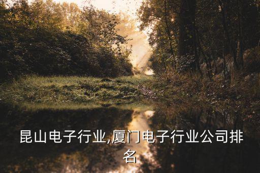 厦门 昆山电子行业,厦门电子行业公司排名