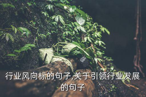引领行业风向标的句子,关于引领行业发展的句子