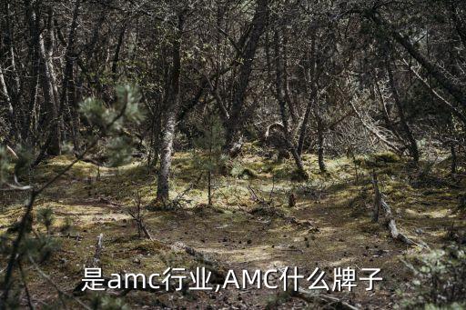 是amc行业,AMC什么牌子