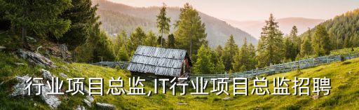 汽车行业项目总监,IT行业项目总监招聘