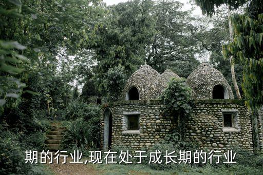 期的行业,现在处于成长期的行业