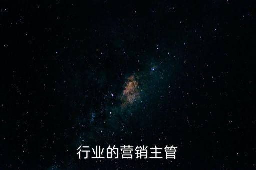 服装行业的营销主管