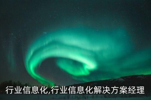 行业信息化,行业信息化解决方案经理