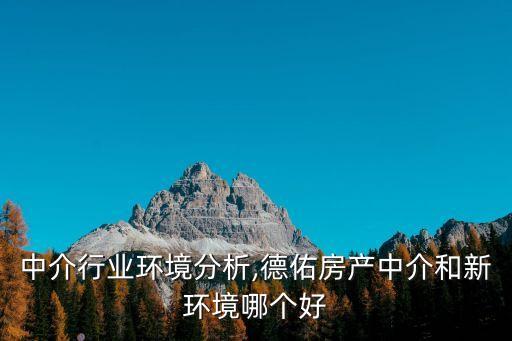 房产中介行业环境分析,德佑房产中介和新环境哪个好