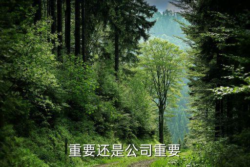 行业重要还是公司重要