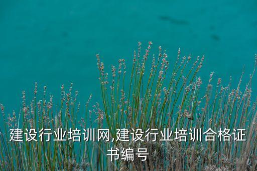 建设行业培训网,建设行业培训合格证书编号