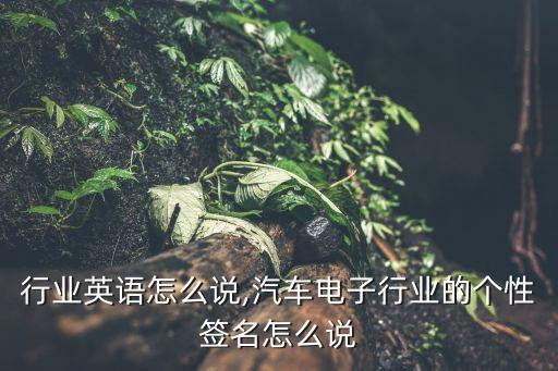 电子行业英语怎么说,汽车电子行业的个性签名怎么说