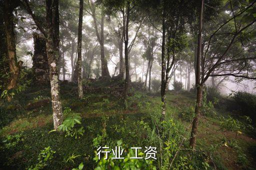 行业 工资