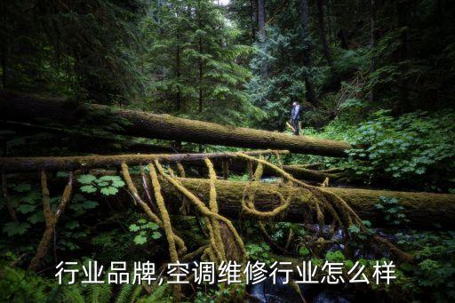 行业品牌,空调维修行业怎么样