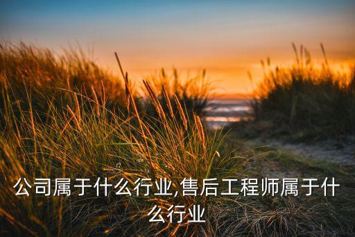 公司属于什么行业,售后工程师属于什么行业