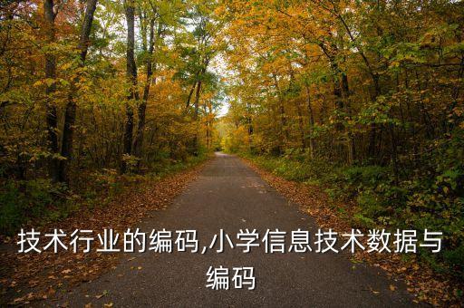 技术行业的编码,小学信息技术数据与编码