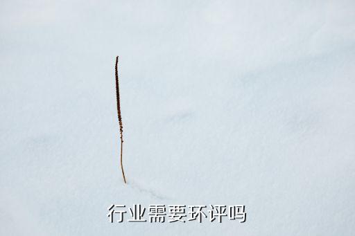 餐饮行业需要环评吗