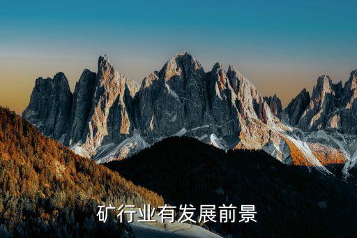 矿行业有发展前景