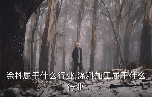 手机涂料属于什么行业,涂料加工属于什么行业