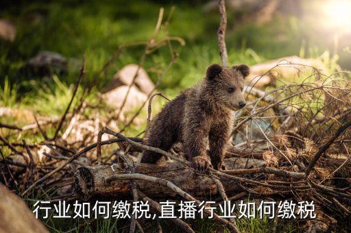 行业如何缴税,直播行业如何缴税