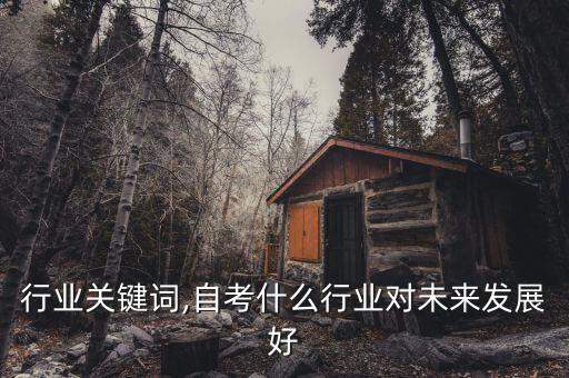 行业关键词,自考什么行业对未来发展好