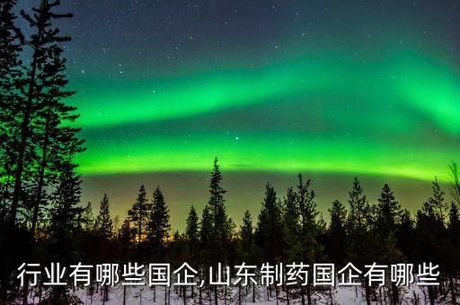 行业有哪些国企,山东制药国企有哪些