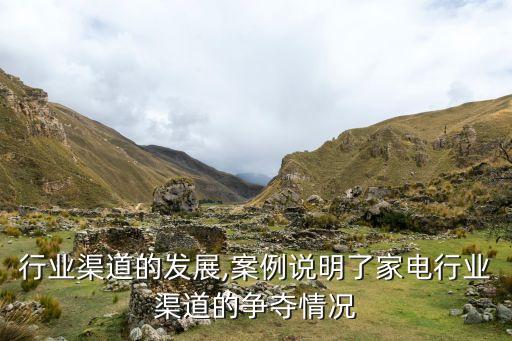 行业渠道的发展,案例说明了家电行业渠道的争夺情况